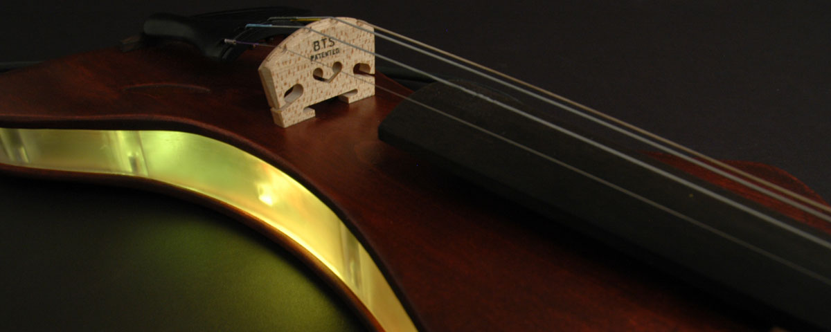 Vivisi Violin